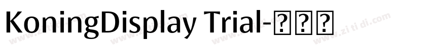 KoningDisplay Trial字体转换